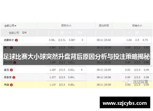 足球比赛大小球突然升盘背后原因分析与投注策略揭秘